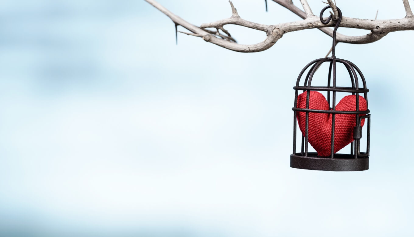 heart in bird cage