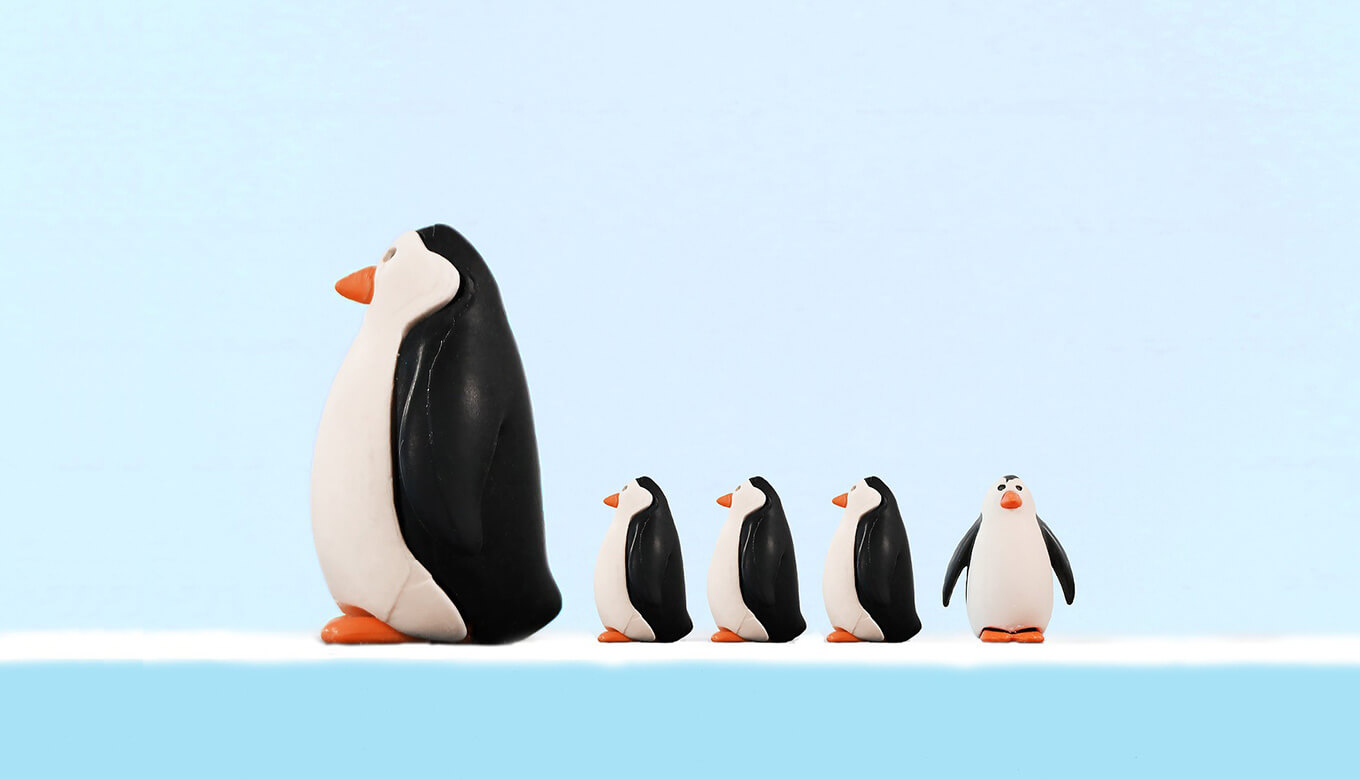 Penguin Family